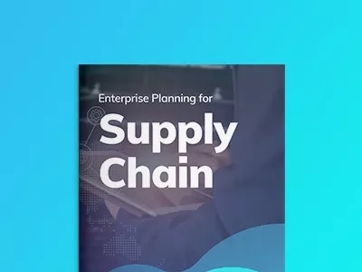 Enterprise Planning for Supply Chain