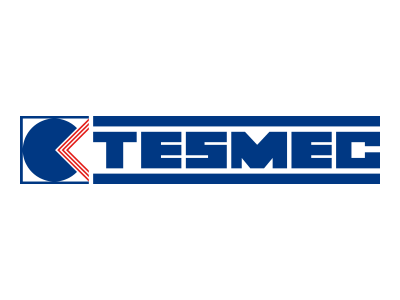 Tesmec Group Logo