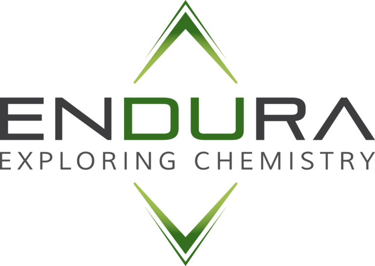 Digital Transformation in Endura Logo